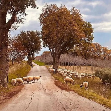 Farmhouse La Siesta Treia