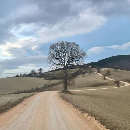 Villa Farmhouse La Siesta